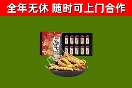大冶回收冬虫夏草价格