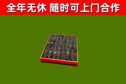 大冶回收海参